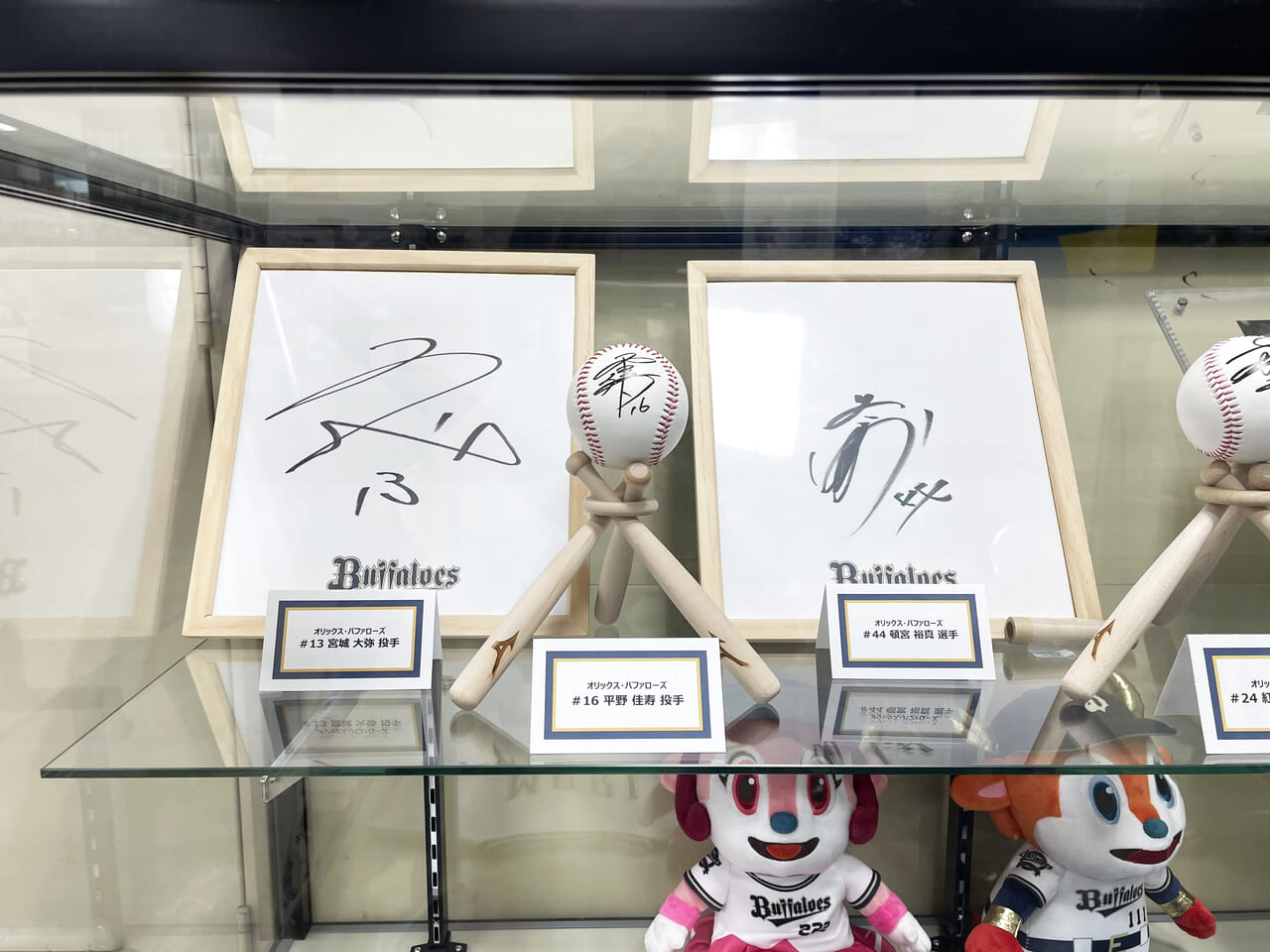 オリックス・バファローズの選手のサイン色紙、サインボール