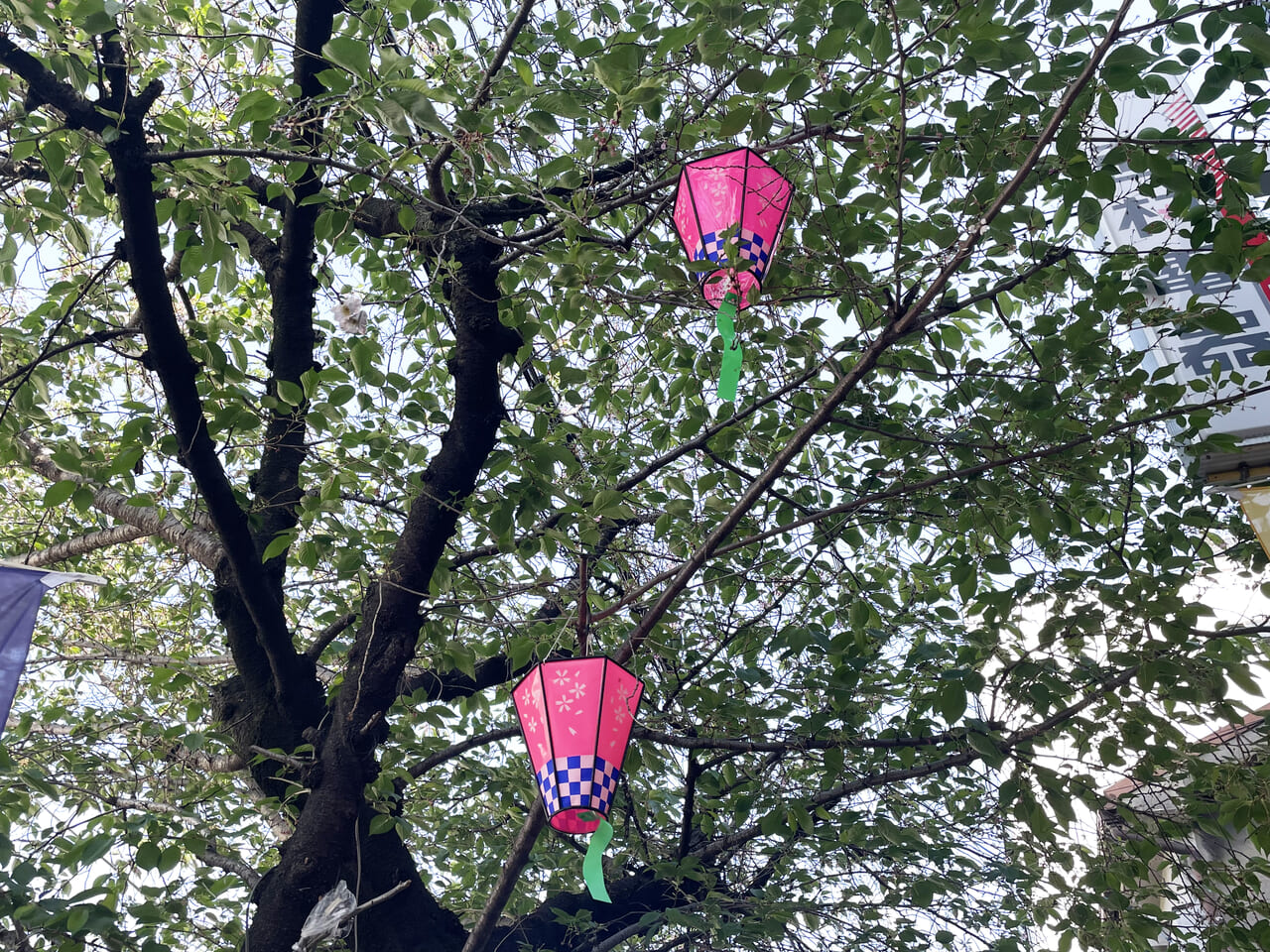 港区の磯路三丁目桜通りに飾られた提灯